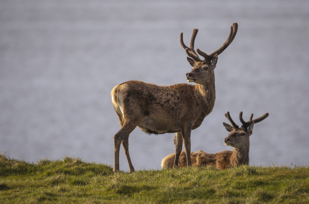 North Uist Tour. 2021